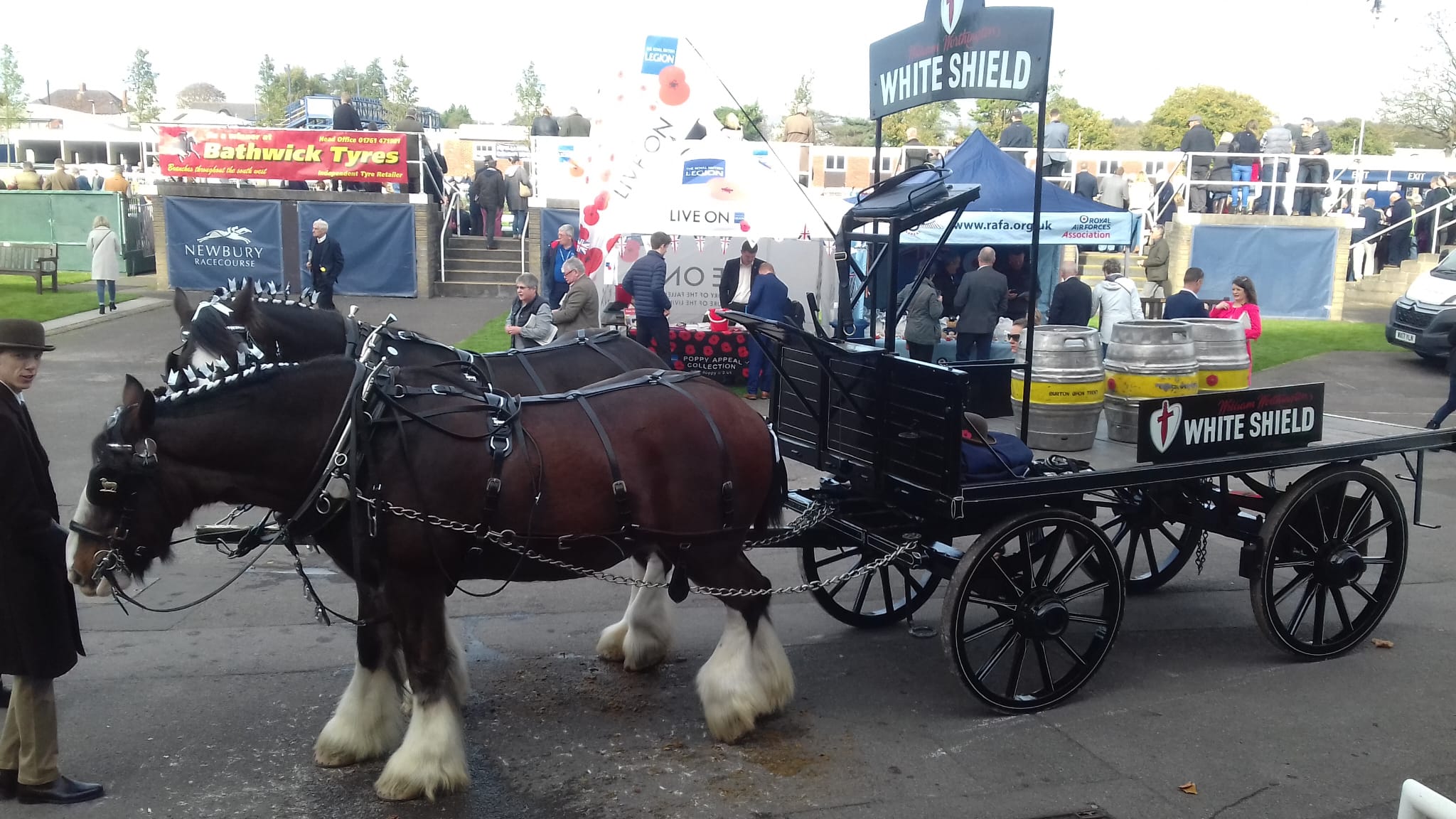 Promotional carriage display